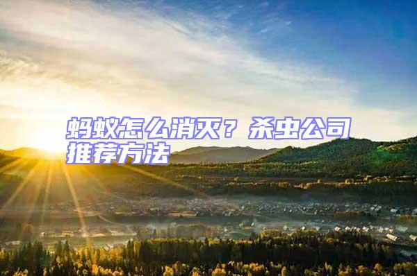 螞蟻怎么消滅？殺蟲公司推薦方法
