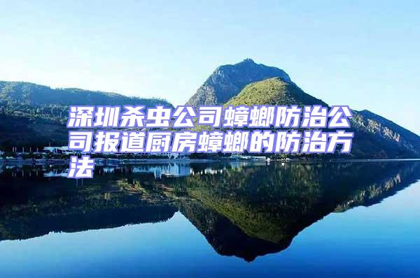 深圳殺蟲公司蟑螂防治公司報(bào)道廚房蟑螂的防治方法