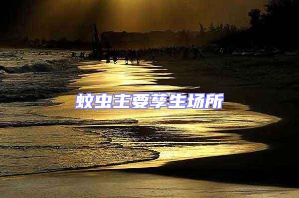 蚊蟲主要孳生場(chǎng)所