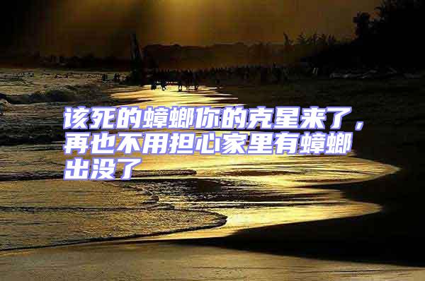 該死的蟑螂你的克星來(lái)了,再也不用擔(dān)心家里有蟑螂出沒(méi)了