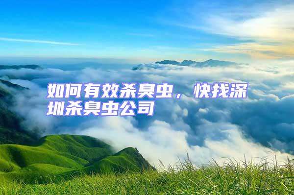 如何有效殺臭蟲，快找深圳殺臭蟲公司