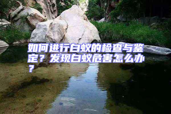 如何進行白蟻的檢查與鑒定?發現白蟻危害怎么辦?