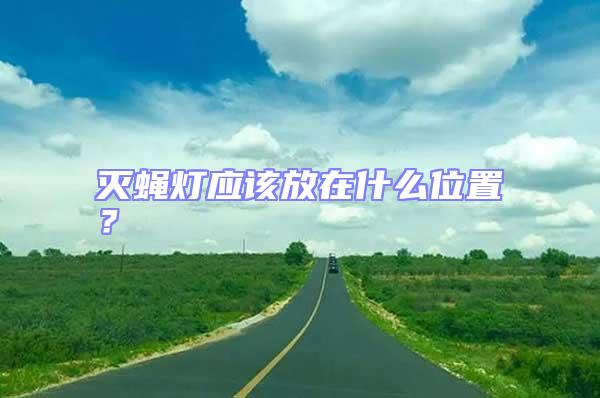 滅蠅燈應(yīng)該放在什么位置?