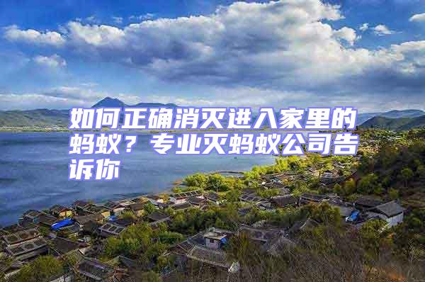 如何正確消滅進(jìn)入家里的螞蟻?專業(yè)滅螞蟻公司告訴你