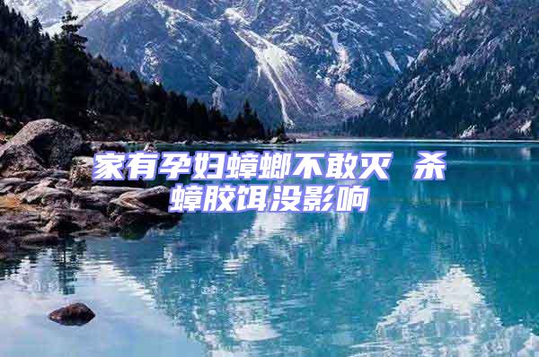 家有孕婦蟑螂不敢滅 殺蟑膠餌沒(méi)影響