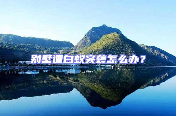 別墅遭白蟻突襲怎么辦？
