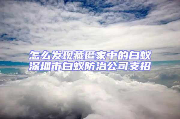 怎么發(fā)現(xiàn)藏匿家中的白蟻深圳市白蟻防治公司支招