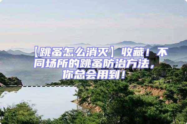 【跳蚤怎么消滅】收藏！不同場所的跳蚤防治方法，你總會用到！