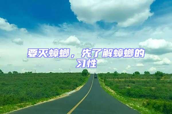 要滅蟑螂,先了解蟑螂的習性