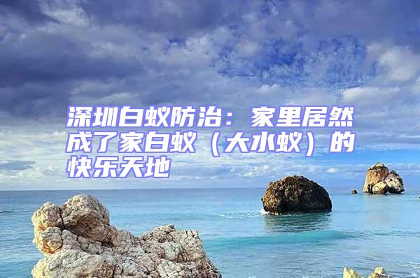 深圳白蟻防治:家里居然成了家白蟻(大水蟻)的快樂(lè)天地