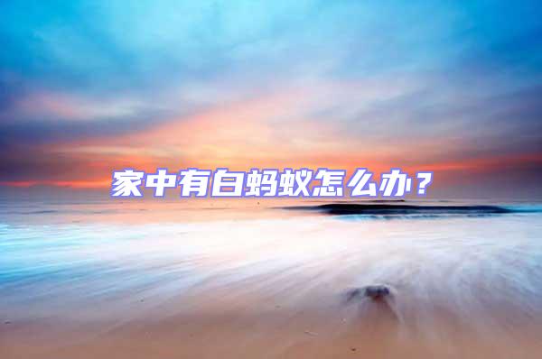 家中有白螞蟻怎么辦？