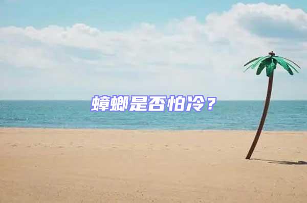 蟑螂是否怕冷？
