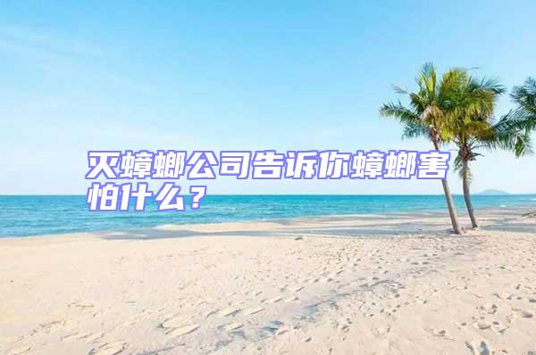滅蟑螂公司告訴你蟑螂害怕什么？