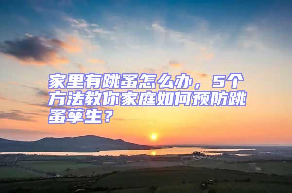 家里有跳蚤怎么辦，5個方法教你家庭如何預防跳蚤孳生？