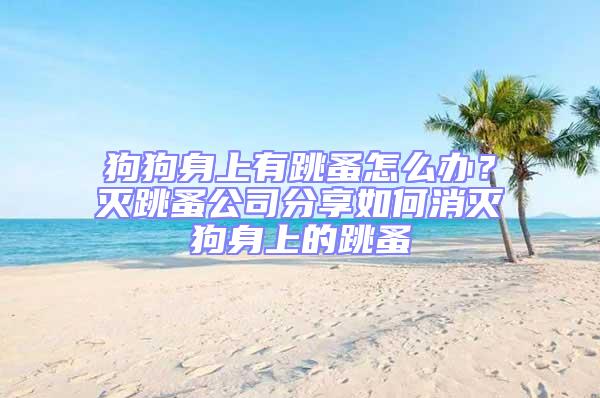 狗狗身上有跳蚤怎么辦?滅跳蚤公司分享如何消滅狗身上的跳蚤