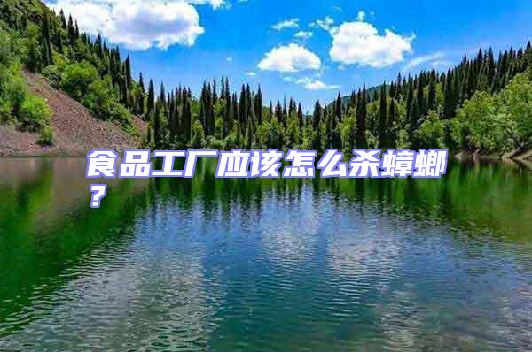 食品工廠應該怎么殺蟑螂？