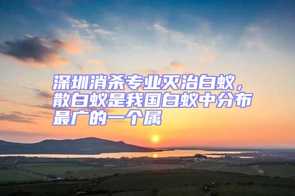 深圳消殺專業滅治白蟻,散白蟻是我國白蟻中分布最廣的一個屬
