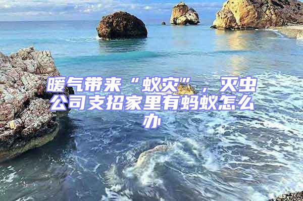 暖氣帶來“蟻災”,滅蟲公司支招家里有螞蟻怎么辦