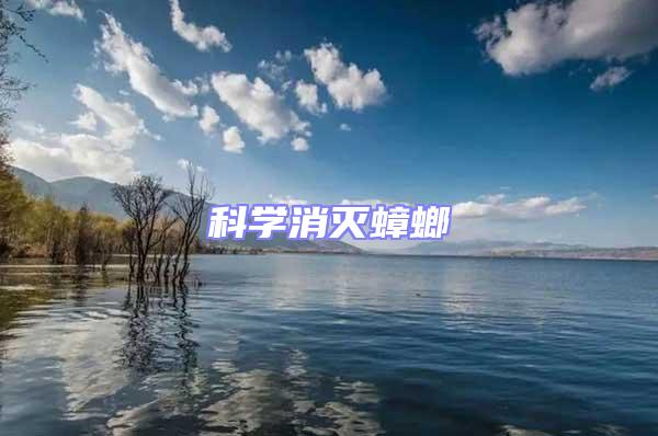 科學(xué)消滅蟑螂