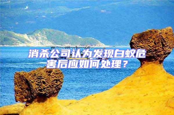 消殺公司認(rèn)為發(fā)現(xiàn)白蟻危害后應(yīng)如何處理?