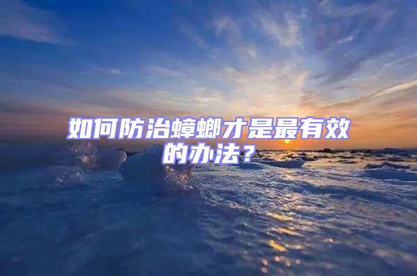 如何防治蟑螂才是最有效的辦法？