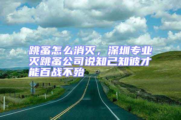 跳蚤怎么消滅,深圳專業滅跳蚤公司說知己知彼才能百戰不殆