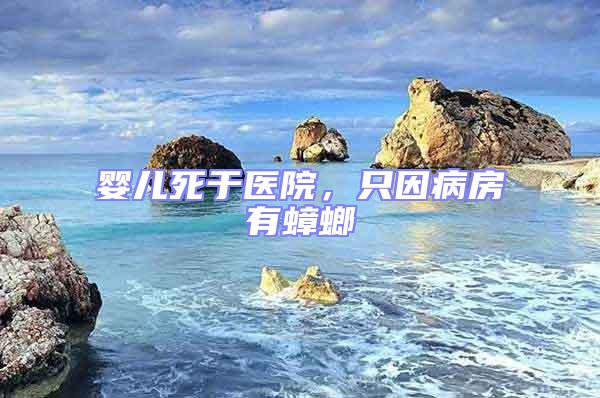 嬰兒死于醫院,只因病房有蟑螂