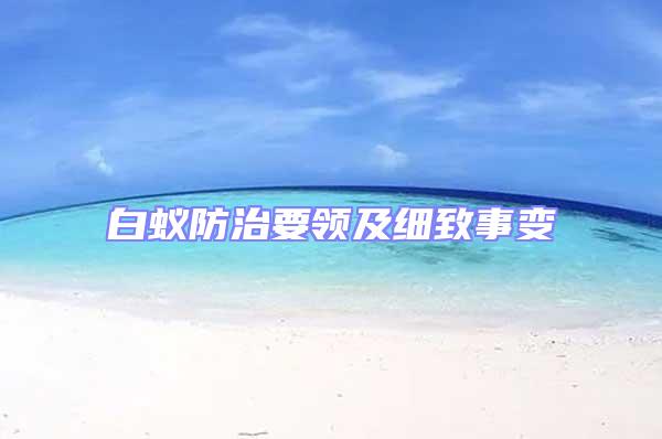 白蟻防治要領(lǐng)及細(xì)致事變