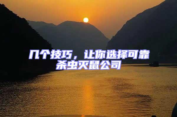 幾個技巧,讓你選擇可靠殺蟲滅鼠公司