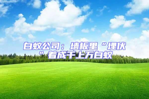 白蟻公司:墻板里“埋伏”著成千上萬白蟻