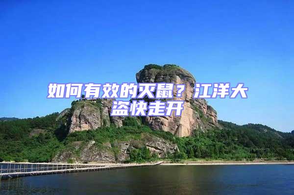 如何有效的滅鼠?江洋大盜快走開(kāi)