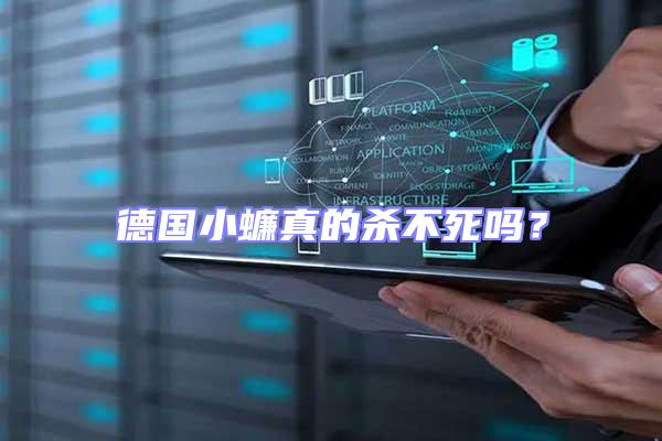 德國小蠊真的殺不死嗎?