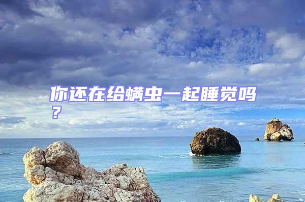 你還在給螨蟲一起睡覺嗎？