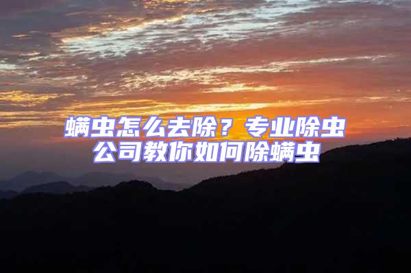螨蟲(chóng)怎么去除?專業(yè)除蟲(chóng)公司教你如何除螨蟲(chóng)