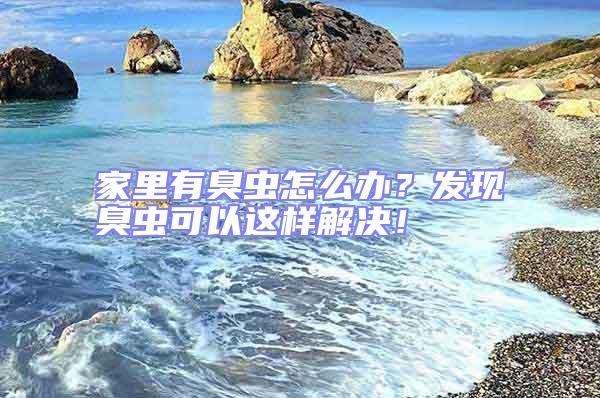 家里有臭蟲怎么辦？發(fā)現(xiàn)臭蟲可以這樣解決！