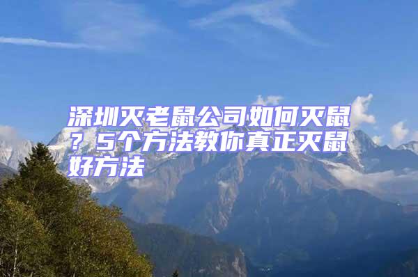深圳滅老鼠公司如何滅鼠?5個(gè)方法教你真正滅鼠好方法