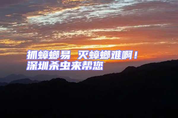 抓蟑螂易 滅蟑螂難啊! 深圳殺蟲來幫您