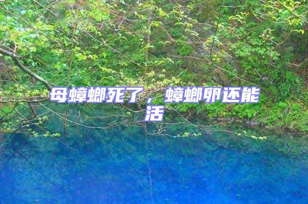 母蟑螂死了，蟑螂卵還能活