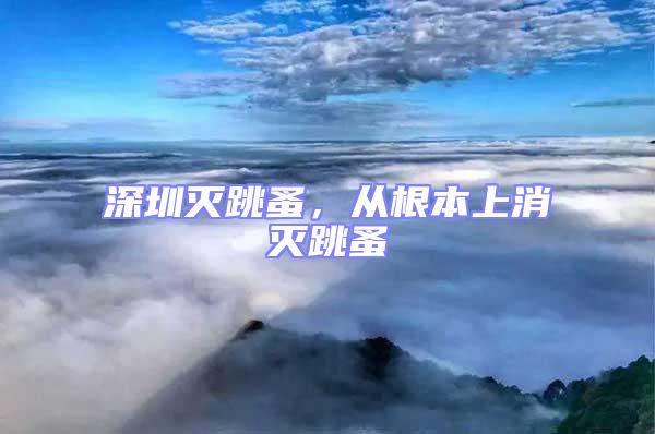 深圳滅跳蚤，從根本上消滅跳蚤
