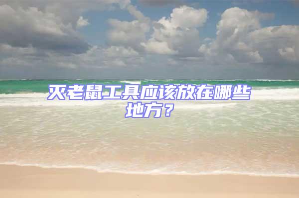 滅老鼠工具應該放在哪些地方?