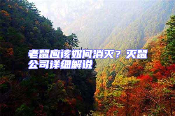 老鼠應(yīng)該如何消滅?滅鼠公司詳細(xì)解說