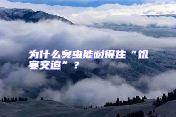 為什么臭蟲能耐得住“饑寒交迫”？