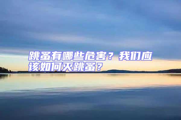 跳蚤有哪些危害?我們應該如何滅跳蚤?