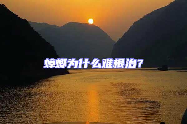 蟑螂為什么難根治？