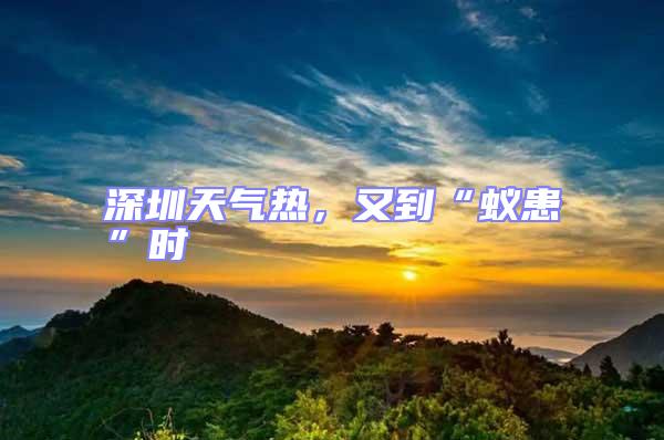 深圳天氣熱,又到“蟻患”時(shí)