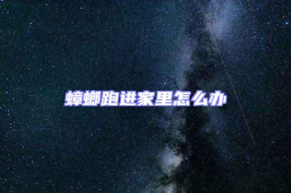 蟑螂跑進(jìn)家里怎么辦