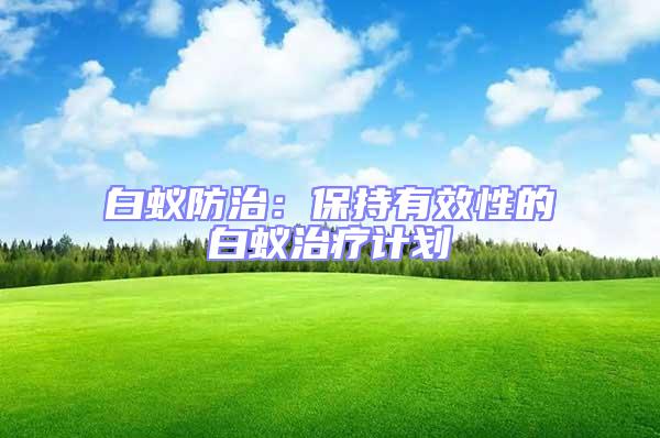 白蟻防治:保持有效性的白蟻治療計劃