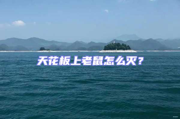 天花板上老鼠怎么滅？