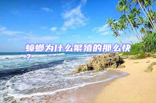 蟑螂為什么繁殖的那么快？