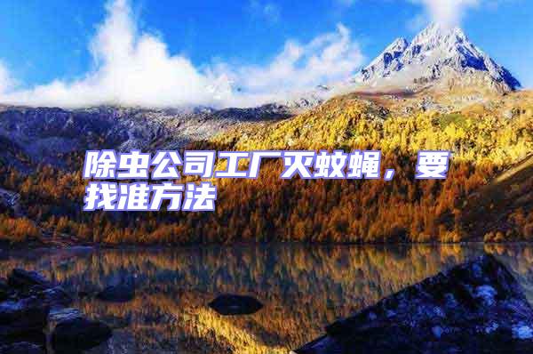 除蟲公司工廠滅蚊蠅,要找準方法